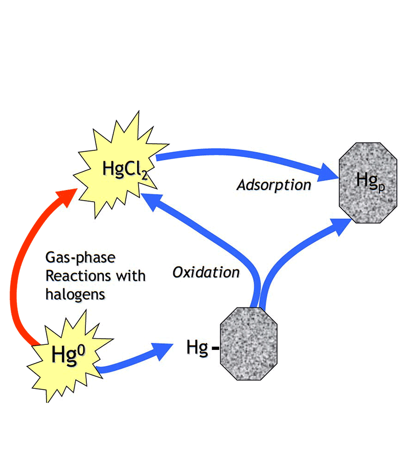 Heavy Metals